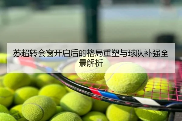 苏超转会窗开启后的格局重塑与球队补强全景解析