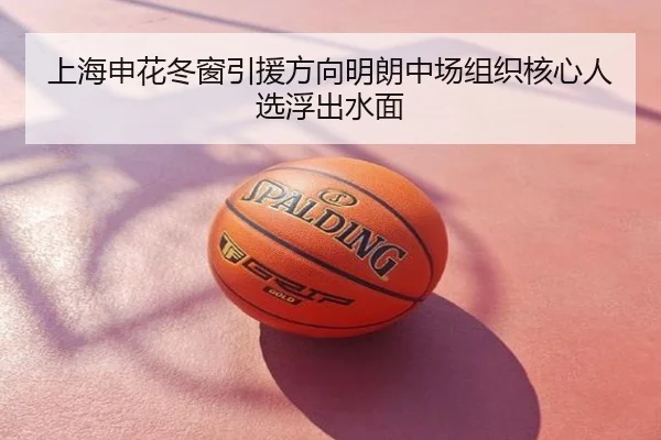 上海申花冬窗引援方向明朗中场组织核心人选浮出水面